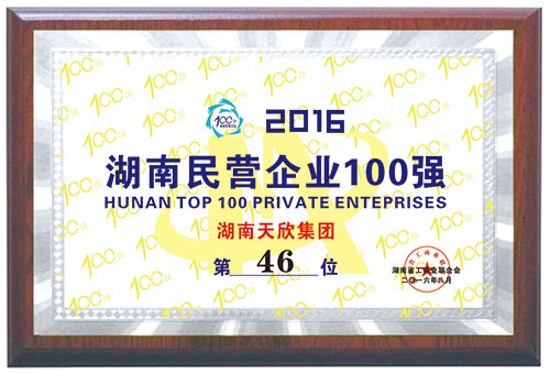 2016年湖南民營企業(yè)100強 第46位